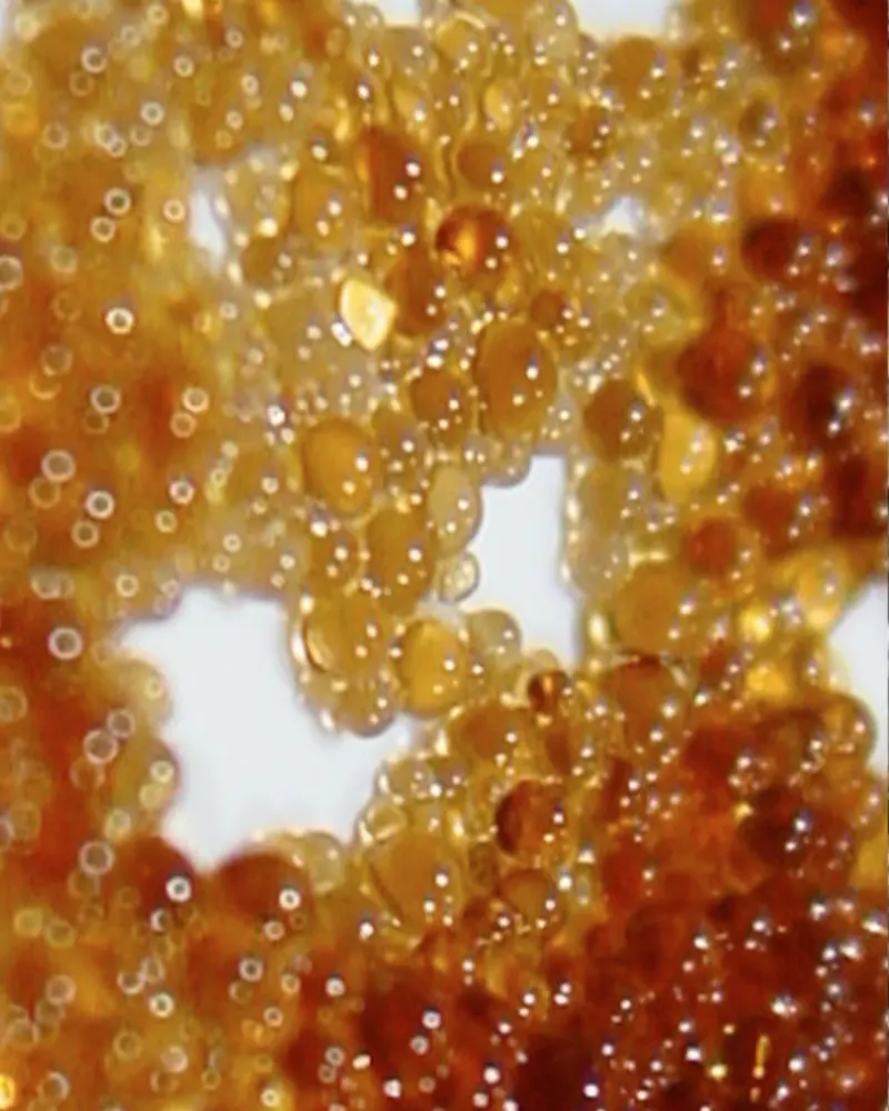 Ion Exchange Resin